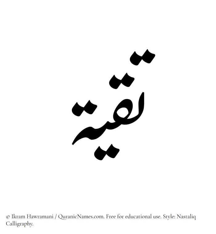 The Muslim name word Taqiyyah written in Nastaliq calligraphic script