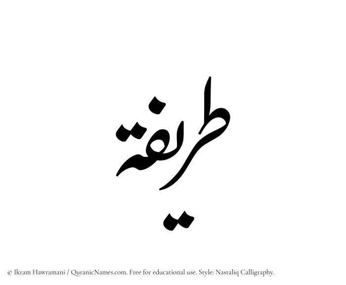 The Muslim name word Tareefah written in Nastaliq calligraphic script