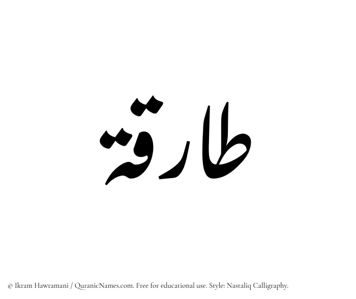 The Muslim name word Tariqa written in Nastaliq calligraphic script