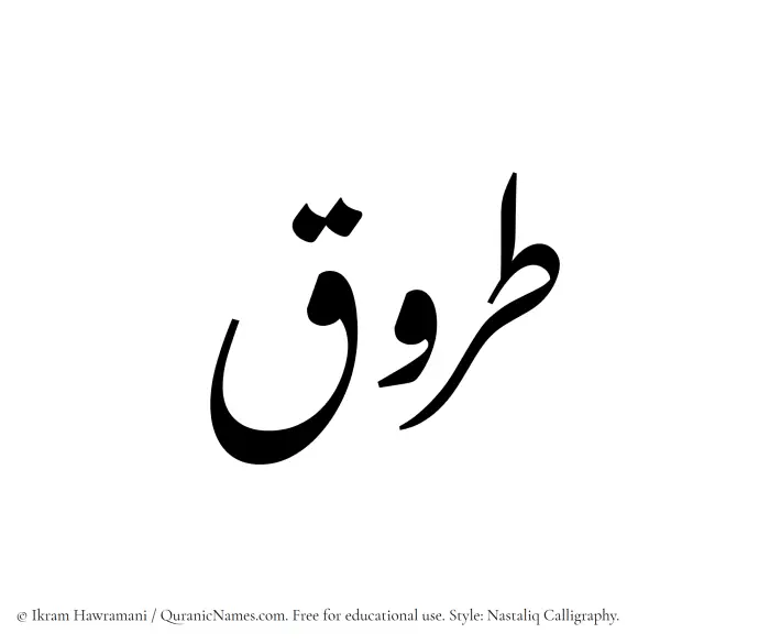 The Muslim name word Tarooq written in Nastaliq calligraphic script