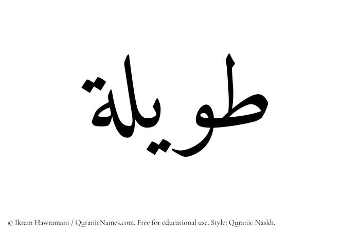 The Muslim name Tawilah written in Quranic naskh script