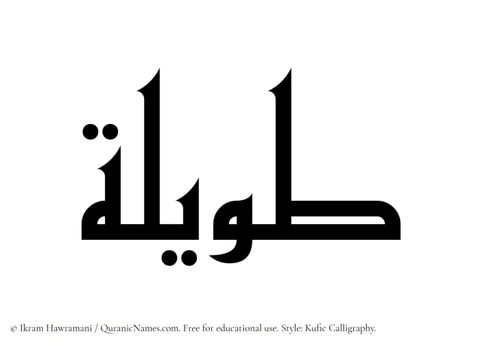 The Muslim name Tawilah written in Kufi/Kufic calligraphic script