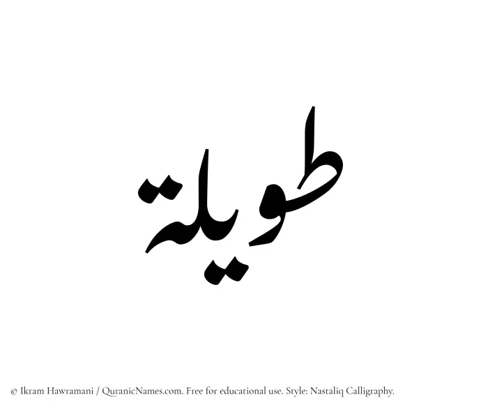The Muslim name word Tawilah written in Nastaliq calligraphic script