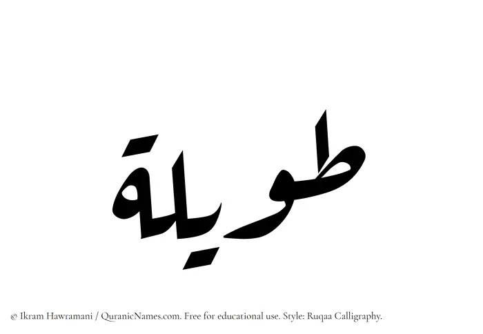 The Muslim name Tawilah written in Ruqaa calligraphic script