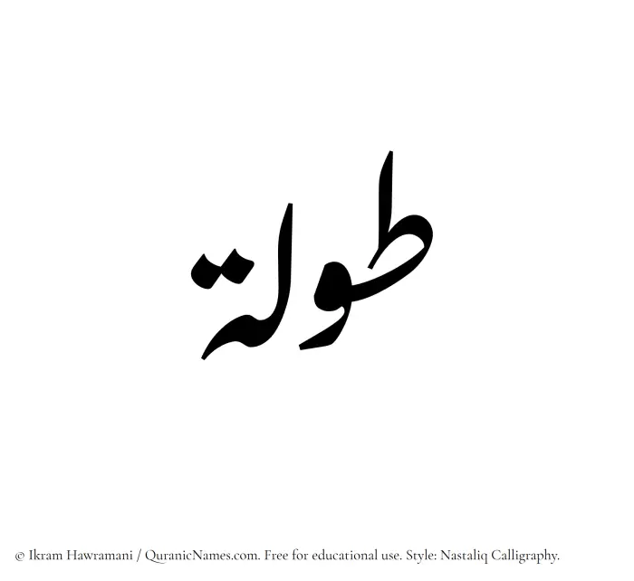 The Muslim name word Tawlah written in Nastaliq calligraphic script