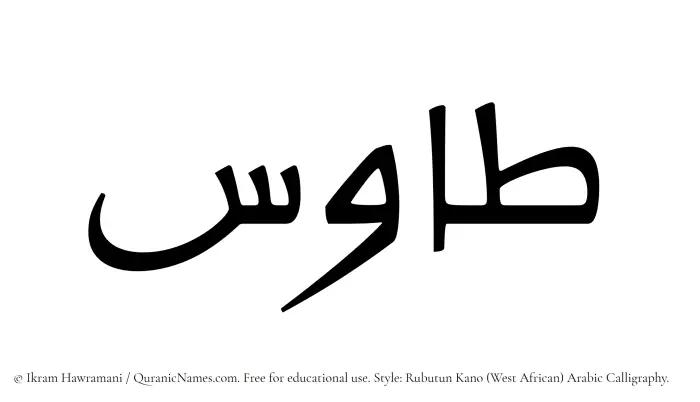 The Muslim name Tawus written in Rubutun Kano calligraphic script