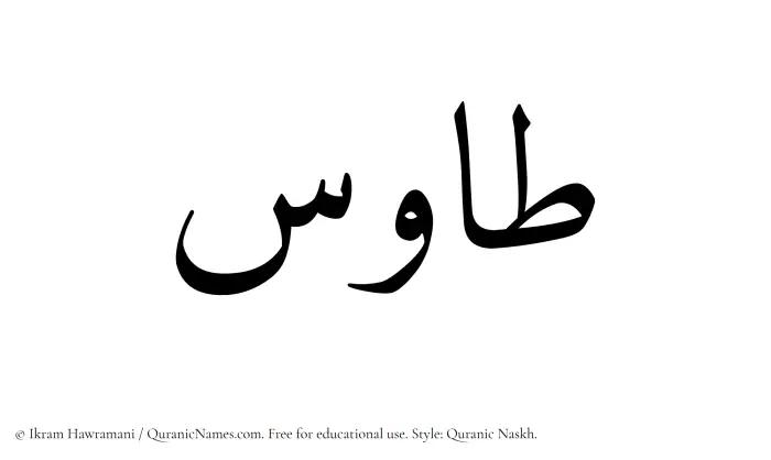 The Muslim name Tawus written in Quranic naskh script