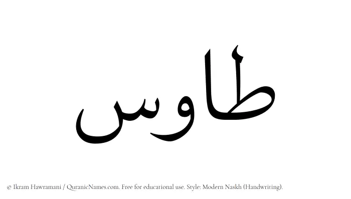 The Muslim name Tawus written in naskh script