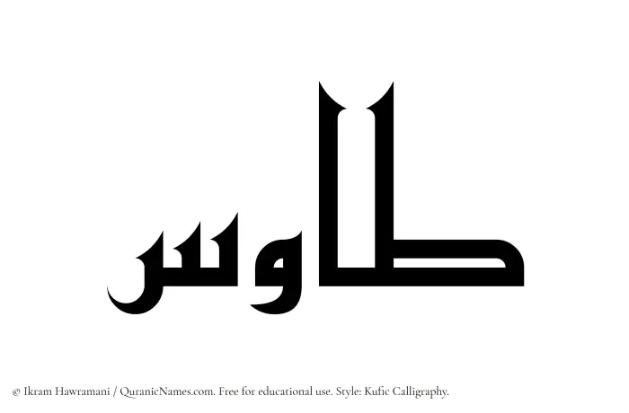 The Muslim name Tawus written in Kufi/Kufic calligraphic script
