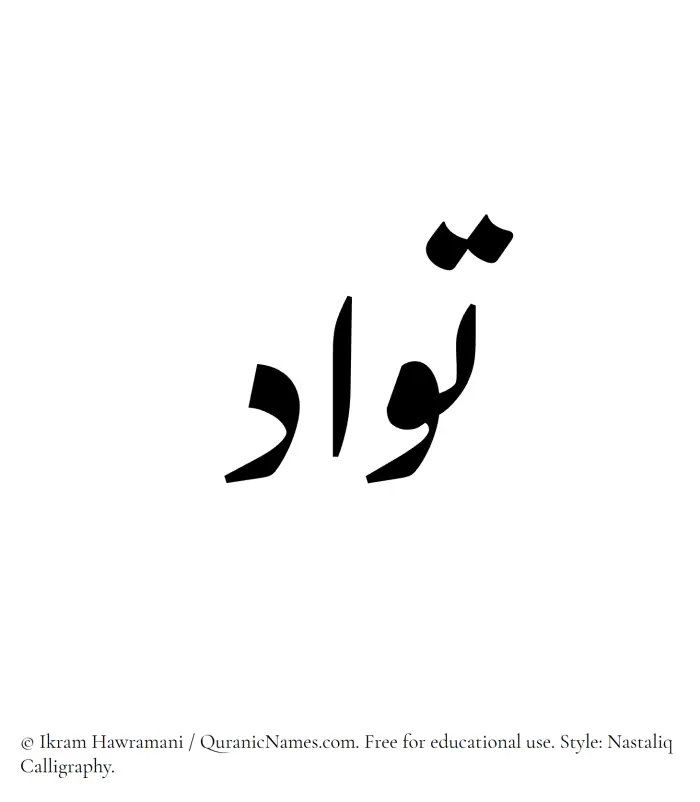 The Muslim name word Tawwad written in Nastaliq calligraphic script