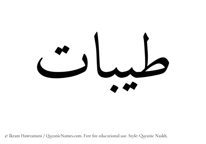 The Muslim name Tayibat written in Quranic naskh script