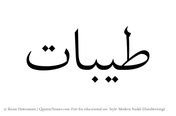The Muslim name Tayibat written in naskh script