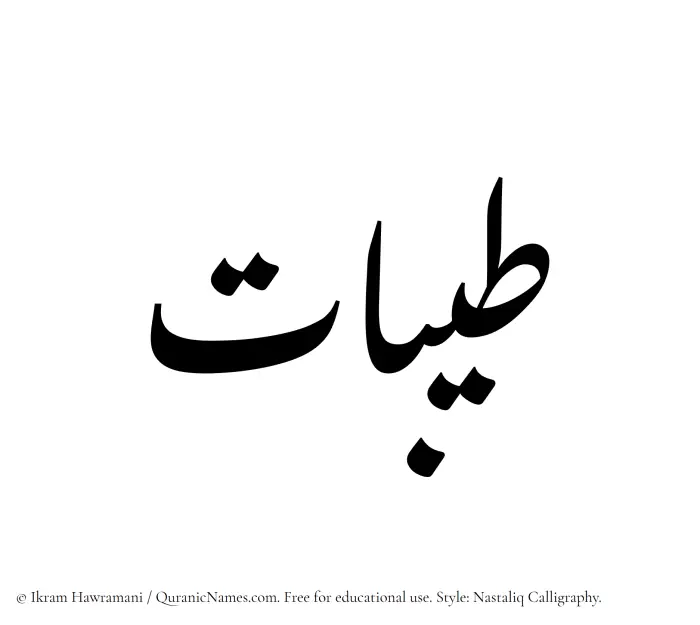 The Muslim name word Tayibat written in Nastaliq calligraphic script