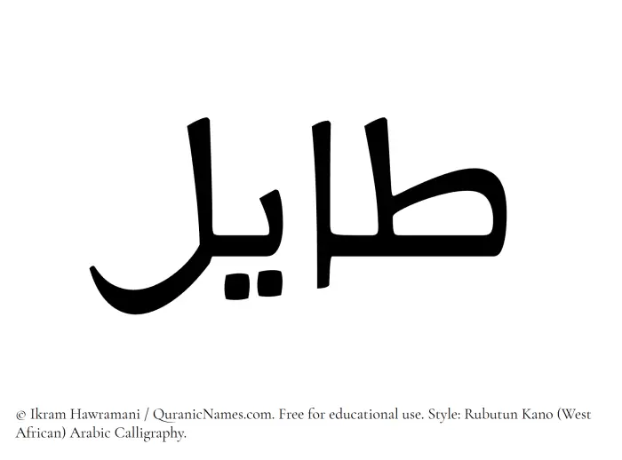 The Muslim name Tayil written in Rubutun Kano calligraphic script