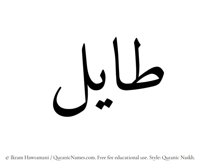 The Muslim name Tayil written in Quranic naskh script