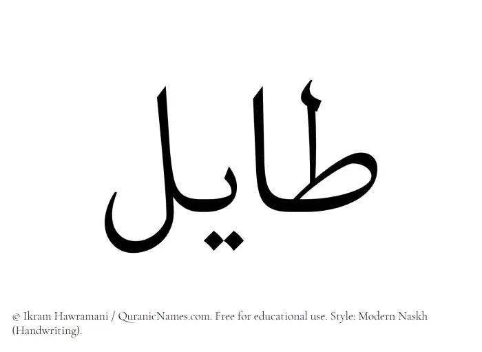 The Muslim name Tayil written in naskh script