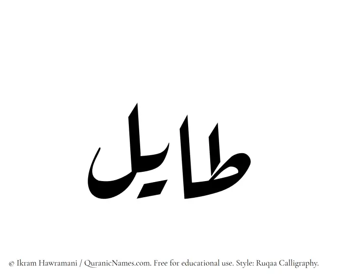 The Muslim name Tayil written in Ruqaa calligraphic script
