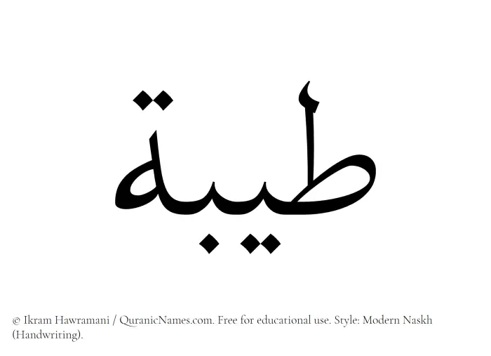 The Muslim name Tayyibah written in naskh script