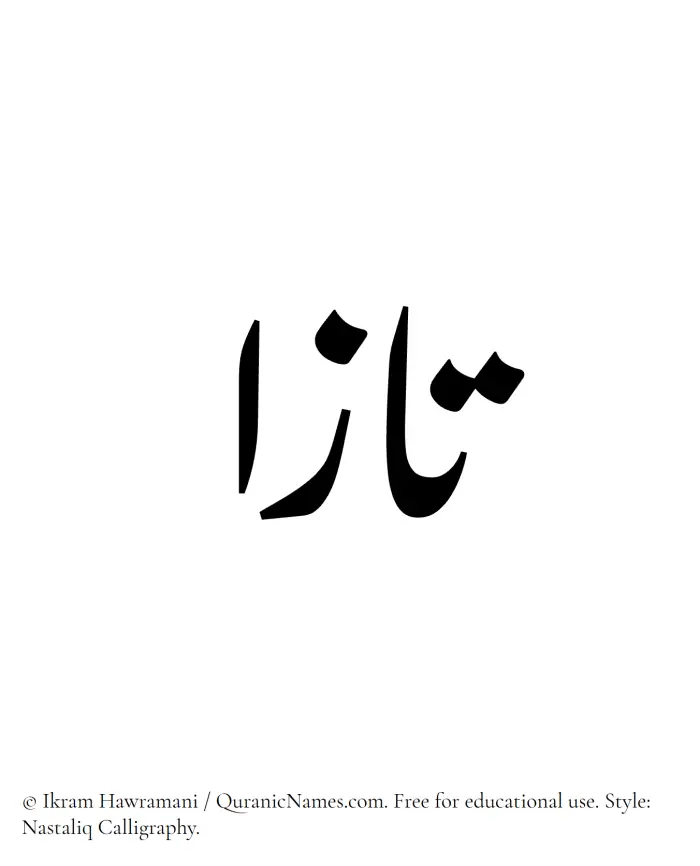 The Muslim name word Taza written in Nastaliq calligraphic script