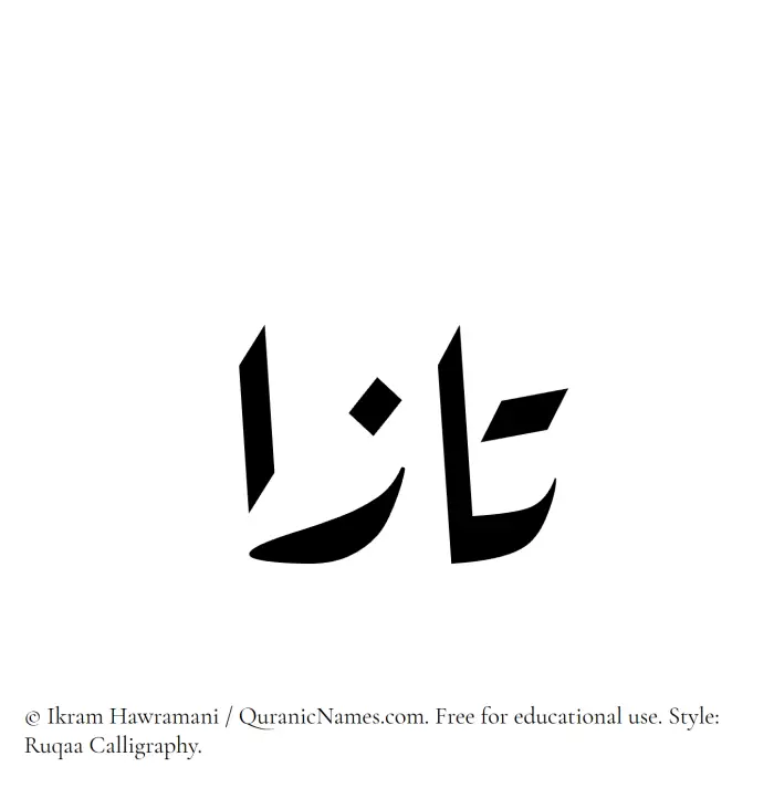 The Muslim name Taza written in Ruqaa calligraphic script