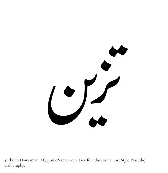 The Muslim name word Tazayyun written in Nastaliq calligraphic script