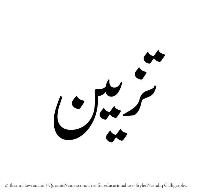 The Muslim name word Tazeen written in Nastaliq calligraphic script