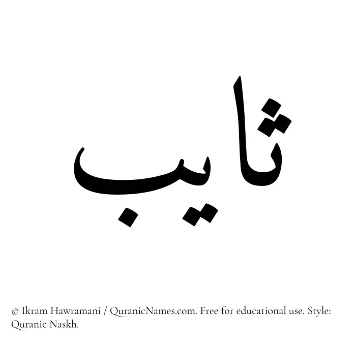 The Muslim name Thayeb written in Quranic naskh script