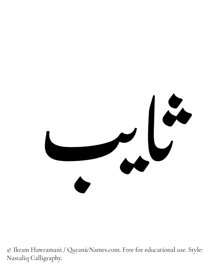The Muslim name word Thayeb written in Nastaliq calligraphic script