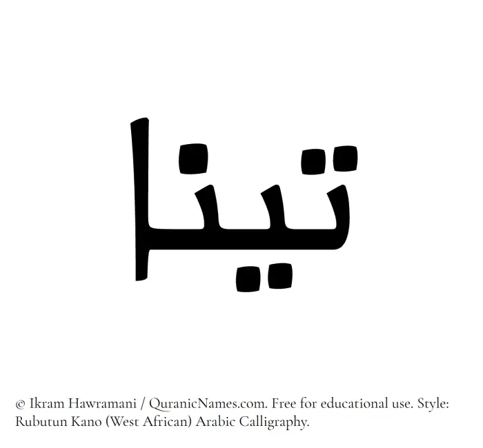 The Muslim name Tina written in Rubutun Kano calligraphic script