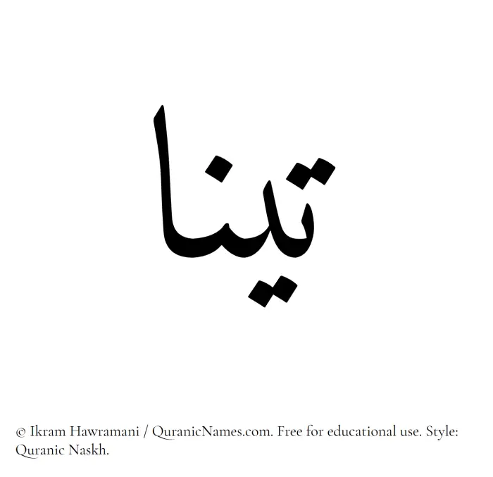 The Muslim name Tina written in Quranic naskh script
