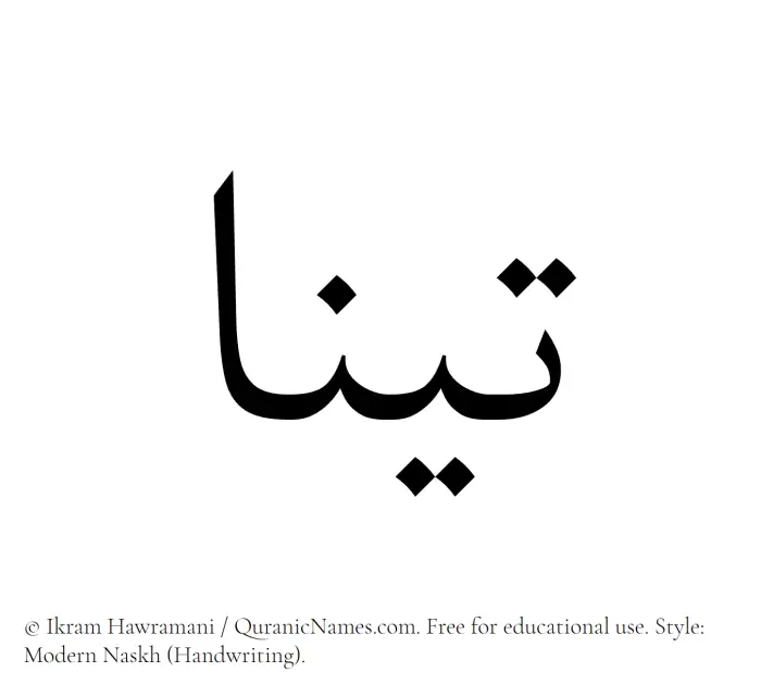The Muslim name Tina written in naskh script