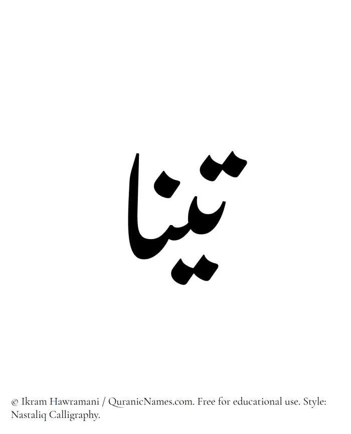 The Muslim name word Tina written in Nastaliq calligraphic script