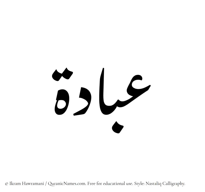 The Muslim name word Ubadah written in Nastaliq calligraphic script