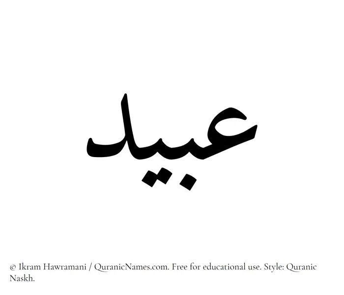 The Muslim name Ubaid written in Quranic naskh script