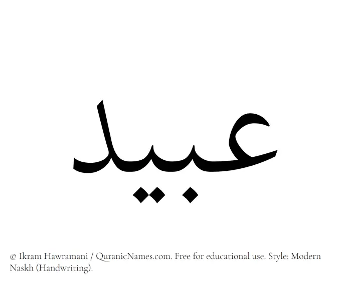 The Muslim name Ubaid written in naskh script