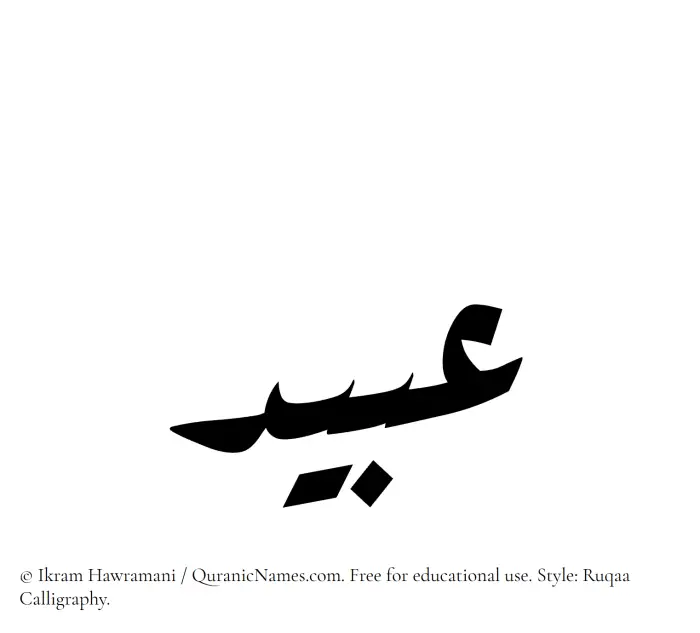 The Muslim name Ubaid written in Ruqaa calligraphic script