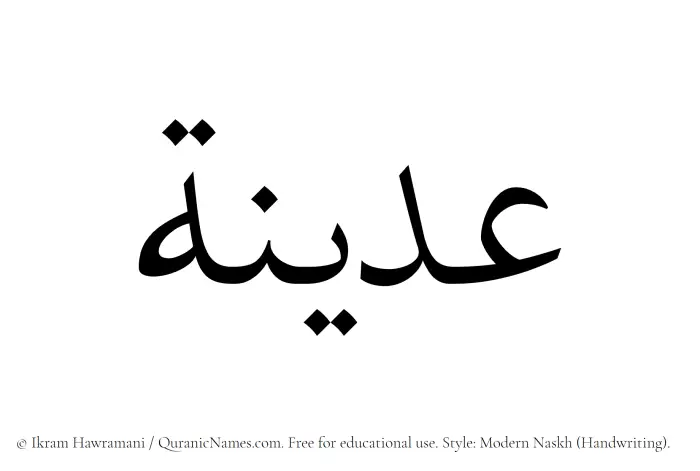 The Muslim name Udaina written in naskh script