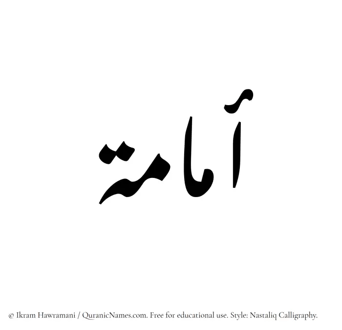 The Muslim name word Umamah written in Nastaliq calligraphic script