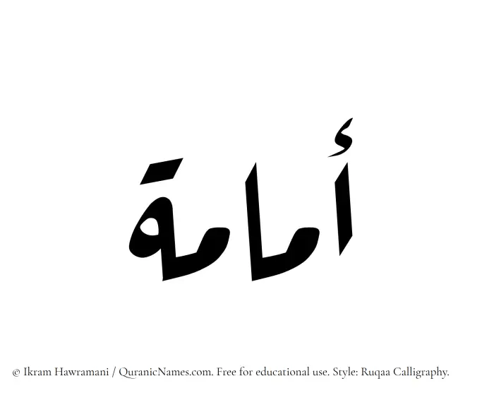 The Muslim name Umamah written in Ruqaa calligraphic script