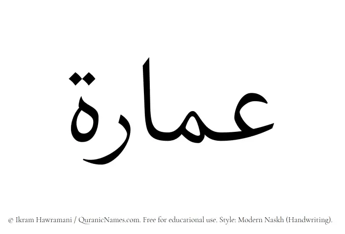 The Muslim name Umara written in naskh script