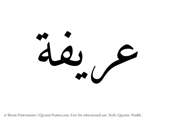 The Muslim name Uraifah written in Quranic naskh script