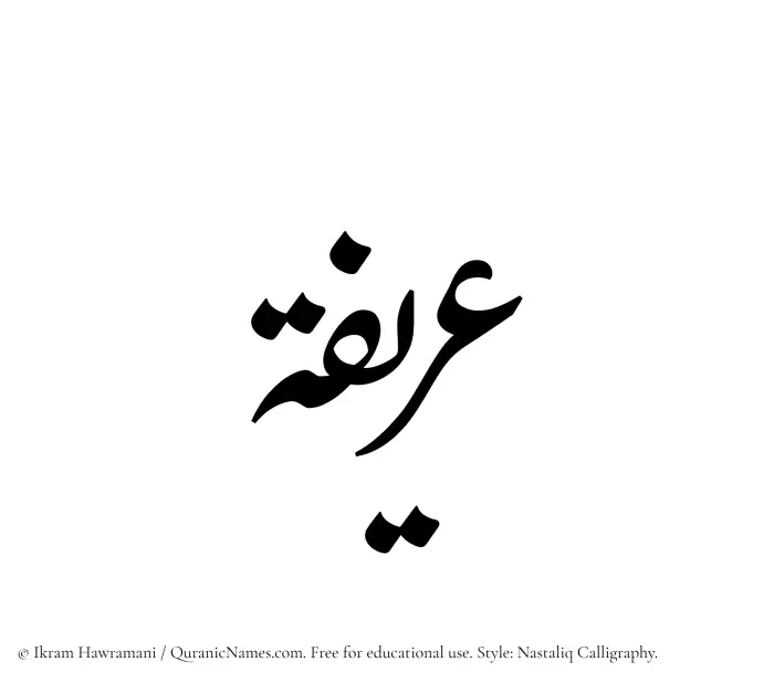 The Muslim name word Uraifah written in Nastaliq calligraphic script
