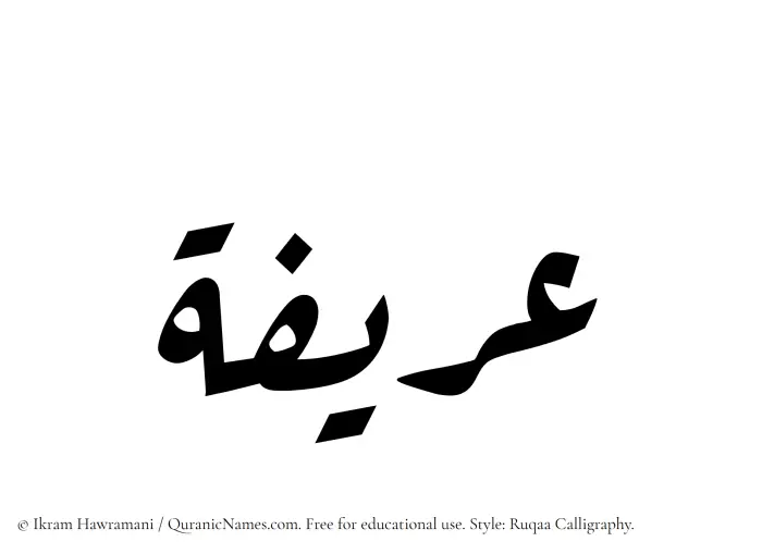 The Muslim name Uraifah written in Ruqaa calligraphic script