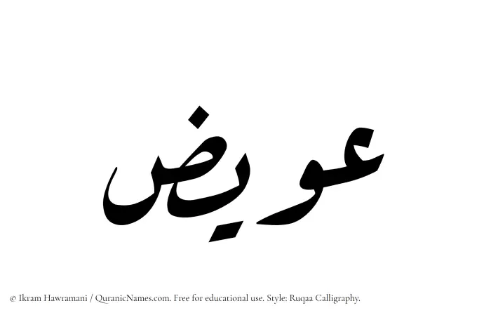 The Muslim name Uwaiz written in Ruqaa calligraphic script