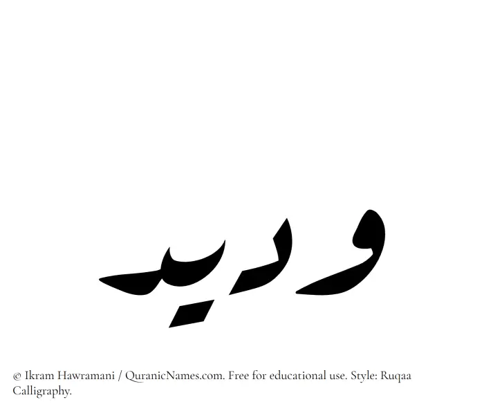 The Muslim name Wadeed written in Ruqaa calligraphic script