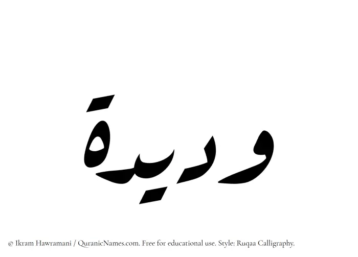The Muslim name Wadida written in Ruqaa calligraphic script