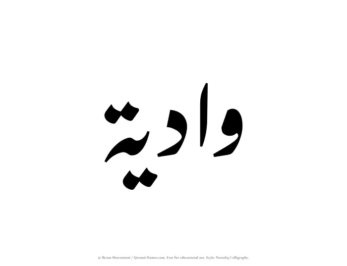 The Muslim name word Wadiyah written in Nastaliq calligraphic script