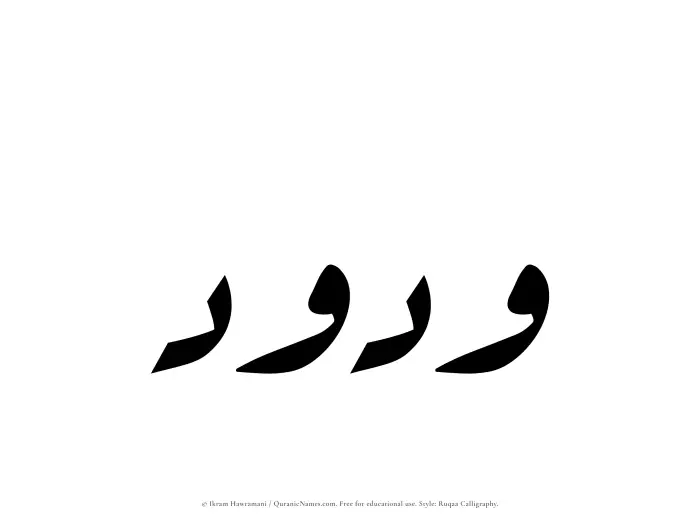 The Muslim name Wadood written in Ruqaa calligraphic script