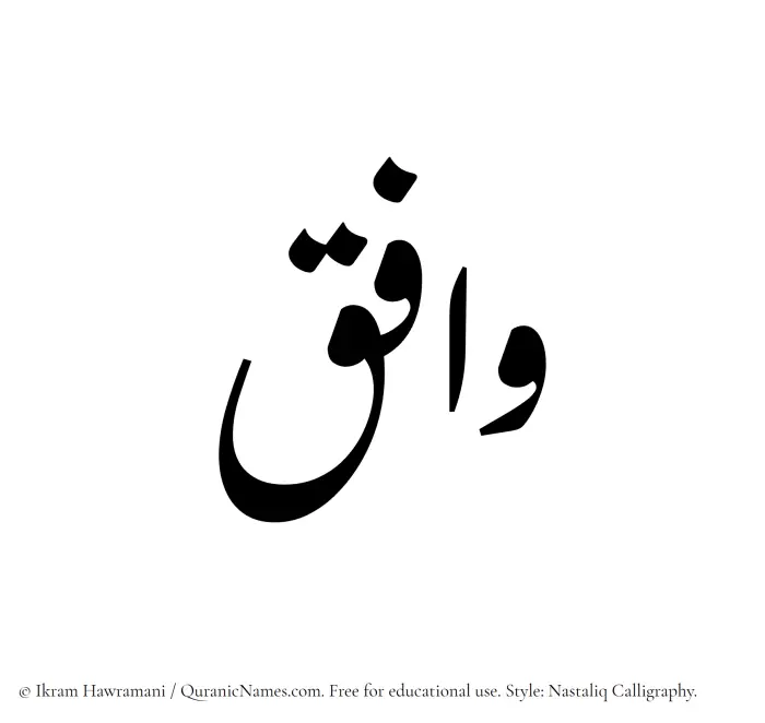 The Muslim name word Wafiq written in Nastaliq calligraphic script