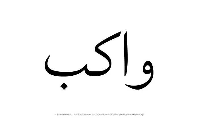The Muslim name Wakib written in naskh script